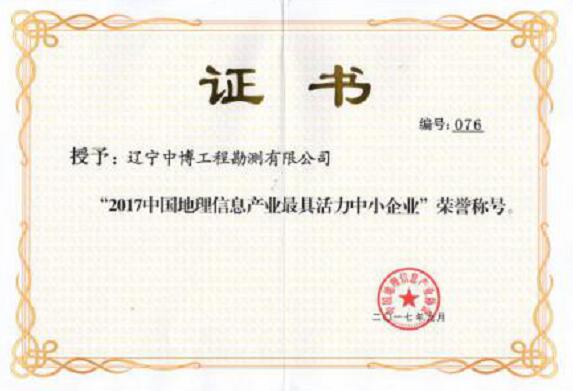2017中国地理信息产业最具活力中小企业