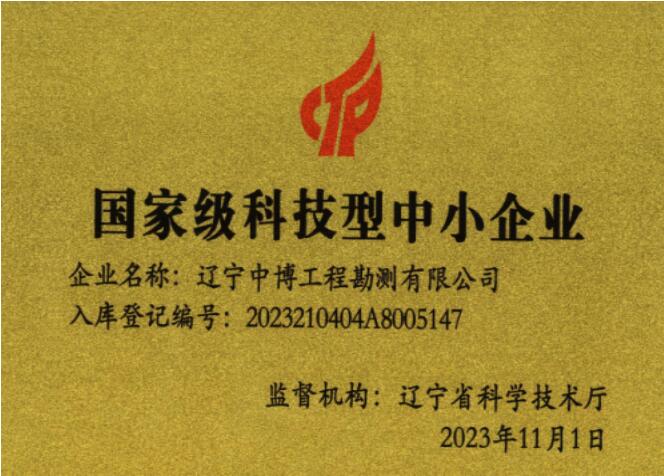 国家级科技型企业